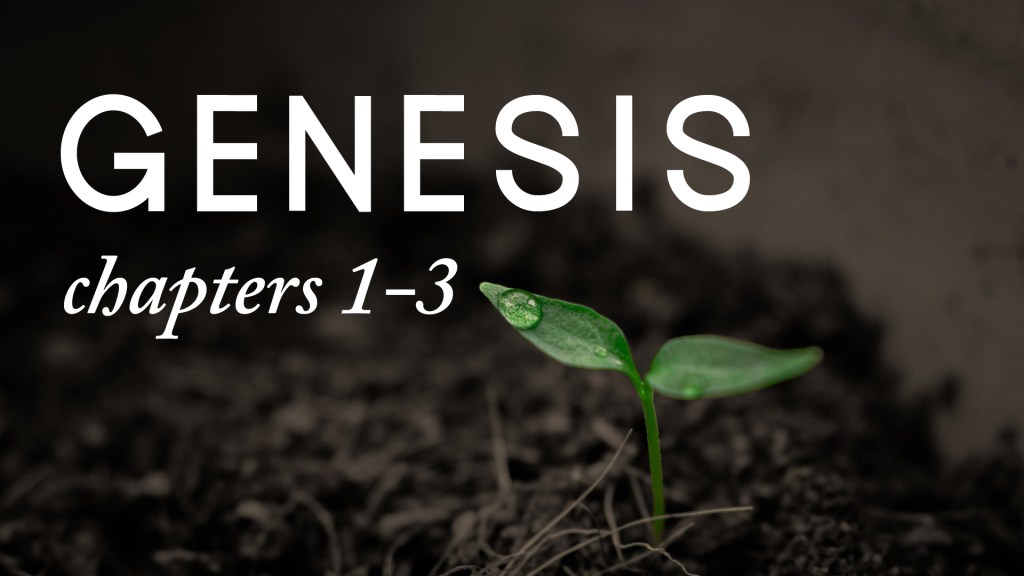 Genesis 1:26-31